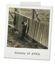 History of AVOCA