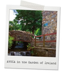 AVOCA in the Garden of Ireland